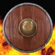VIKING SHIELD LATEX